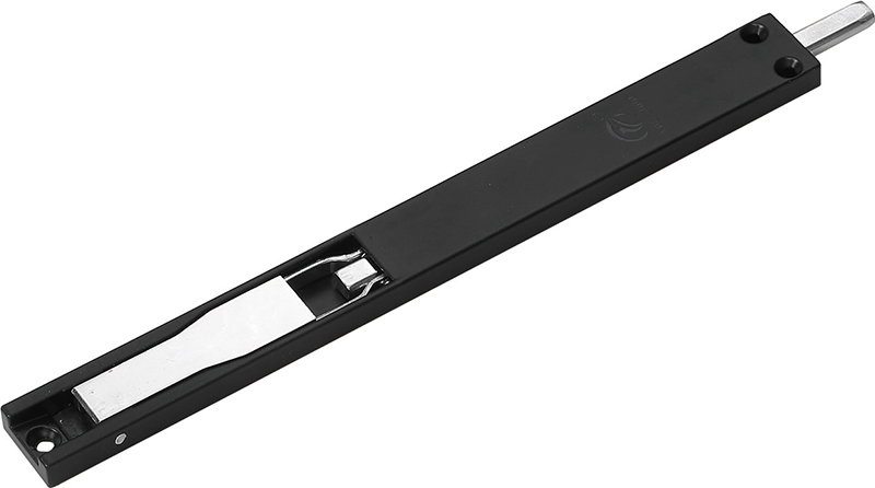 513A1846（800.jpg